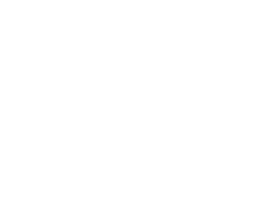 Özel Namık Altaş Koleji İlkokulu logosu