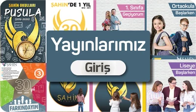 Adapazarı Özel Şahin Anadolu Lisesi logosu