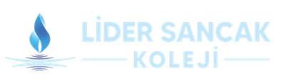 Özel Sancak Anadolu Lisesi logosu