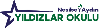 Özel Düzce Yıldızlar Ortaokulu logosu