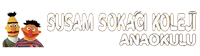Özel Susam Sokağı Koleji Anaokulu logosu