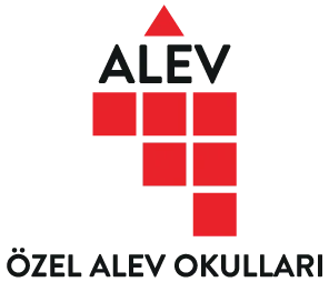 Özel Alev Lisesi logosu