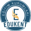 Özel Tuzla Eğitsel Değer Uygulamaları Kent (edukent) Anadolu Lisesi logosu