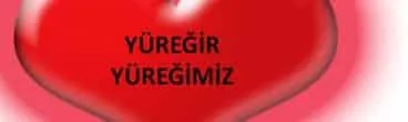 Sosyal yaşam