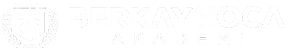 Beşiktaş Berkay Hoca Akademi Özel Öğretim Kursu (fen Bilimleri Bilim Grubu) logosu