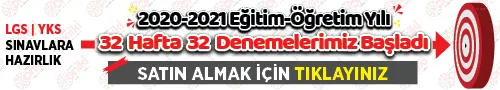 Sosyal yaşam