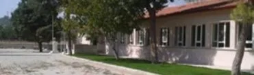 Sosyal yaşam