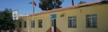 Sosyal yaşam