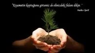 Sosyal yaşam