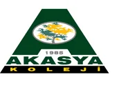 Özel Akasya Anaokulu logosu