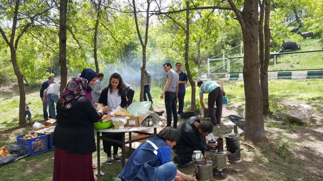 Sosyal yaşam