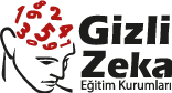 Özel Alsancak Gizli Zeka Kişisel Gelişim Kursu logosu