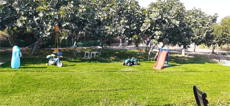 Eğitim