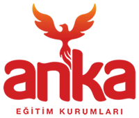 Özel Anka Vizyon İletişim Planlama Özel Öğretim Kursu logosu