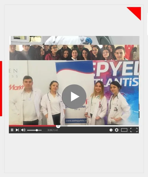 Sosyal yaşam