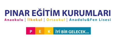 Özel Ankara Pınar İlkokulu logosu