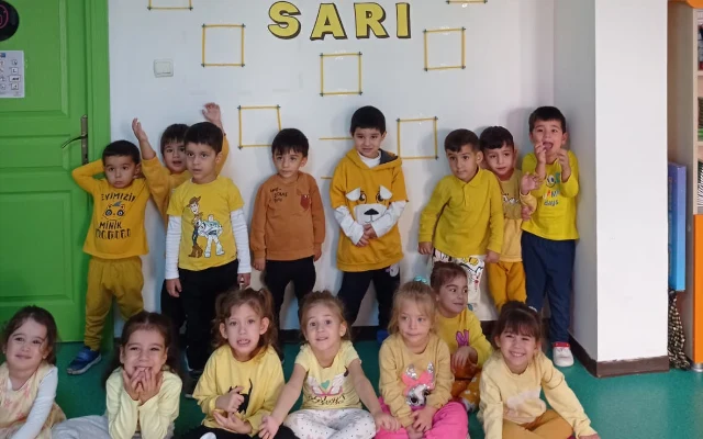 Eğitim