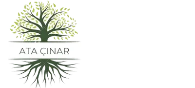 Özel Ata Çınar Özel Eğitim Ve Rehabilitasyon Merkezi logosu
