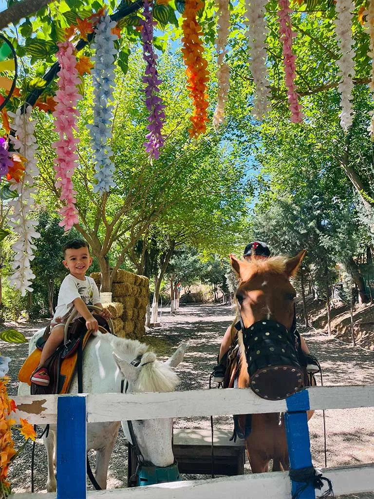 Sosyal yaşam