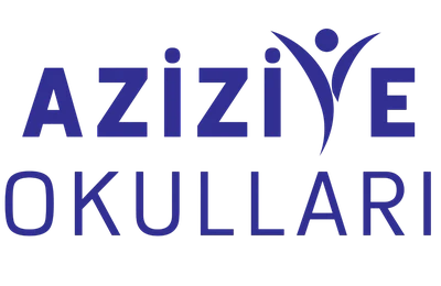 Özel Ayyıldız İlkokulu logosu