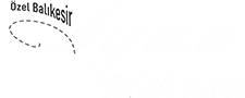Özel Balıkesir Ayaz Motorlu Taşıt Sürücüleri Kursu logosu