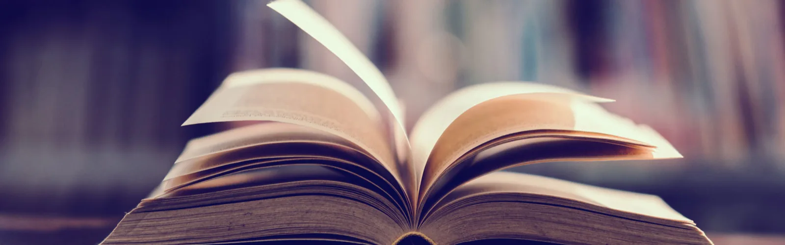 Başarılar