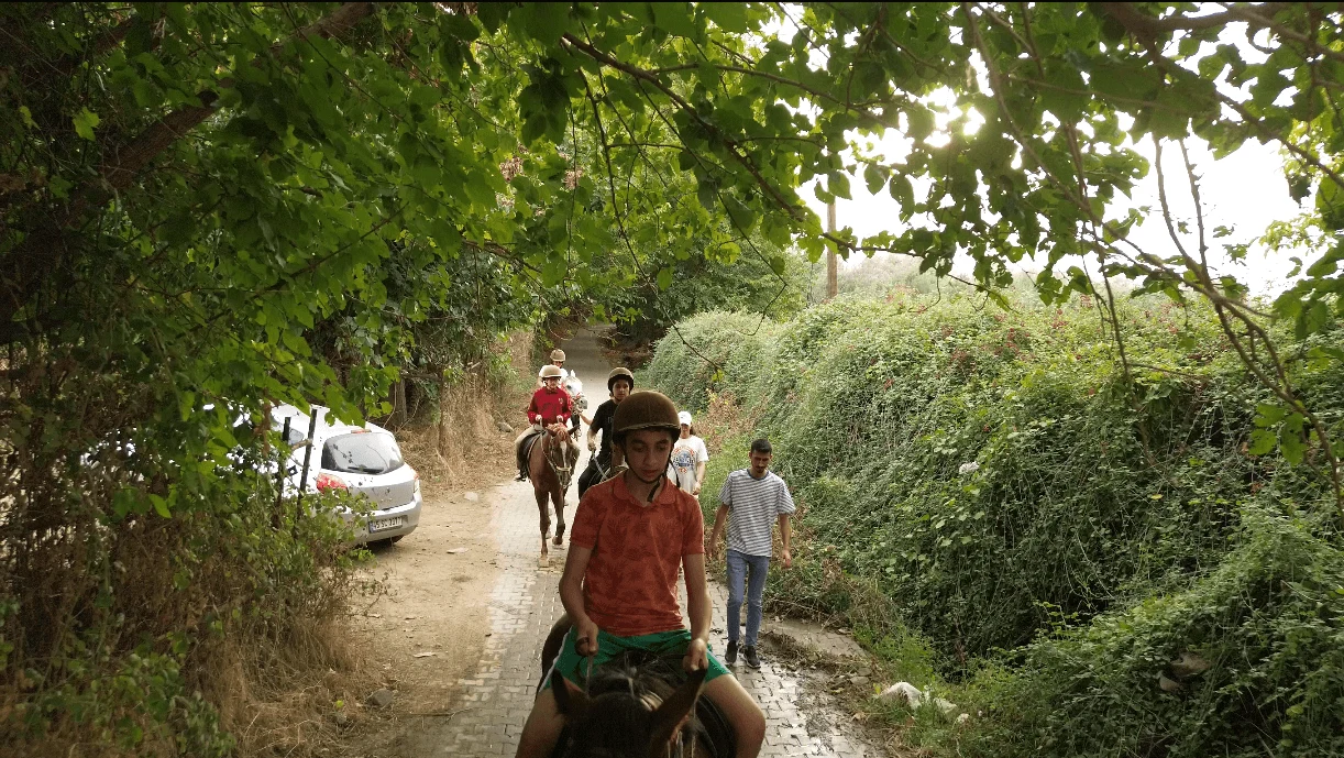 Sosyal yaşam