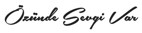 LALEZAR EĞİTİM HİZMETLERİ SAĞLIK KÜLTÜREL FAALİYETLER TİC.LTD.ŞTİ.