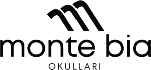 Özel Beysukent Anadolu Lisesi logosu