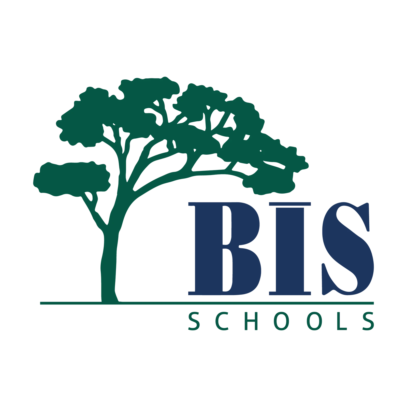 BIS Schools Zekeriyaköy logo