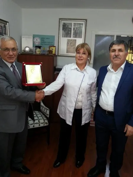 Sosyal yaşam