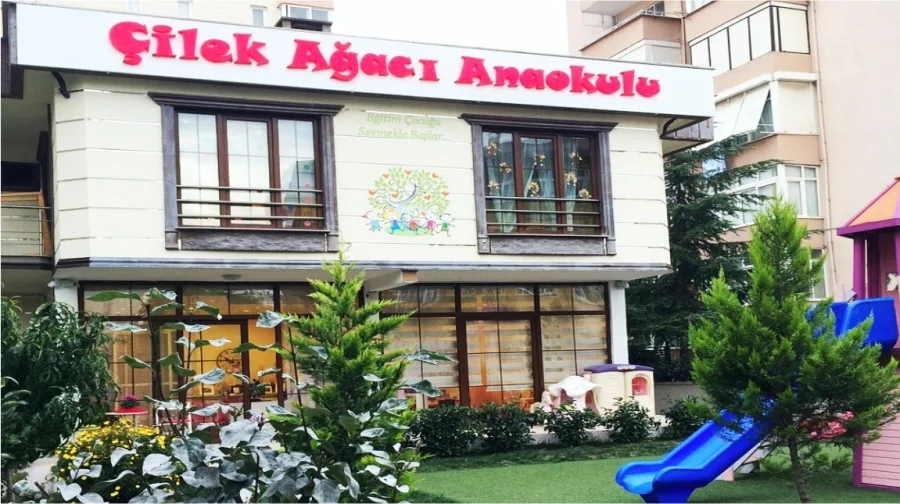 Sosyal yaşam