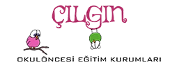 Özel Çılgın Yunuslar Anaokulu logosu