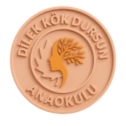 Özel Dilek Kök Dursun Anaokulu logosu