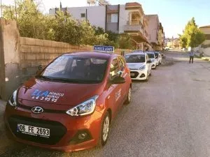 Sosyal yaşam