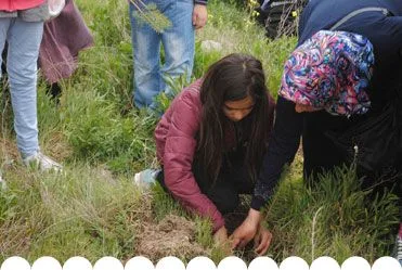 Sosyal yaşam