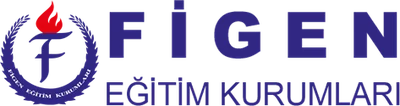 Özel Figen İlkokulu logosu