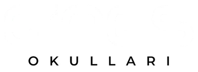 Özel Girişken Nesil (gines) Anaokulu logosu