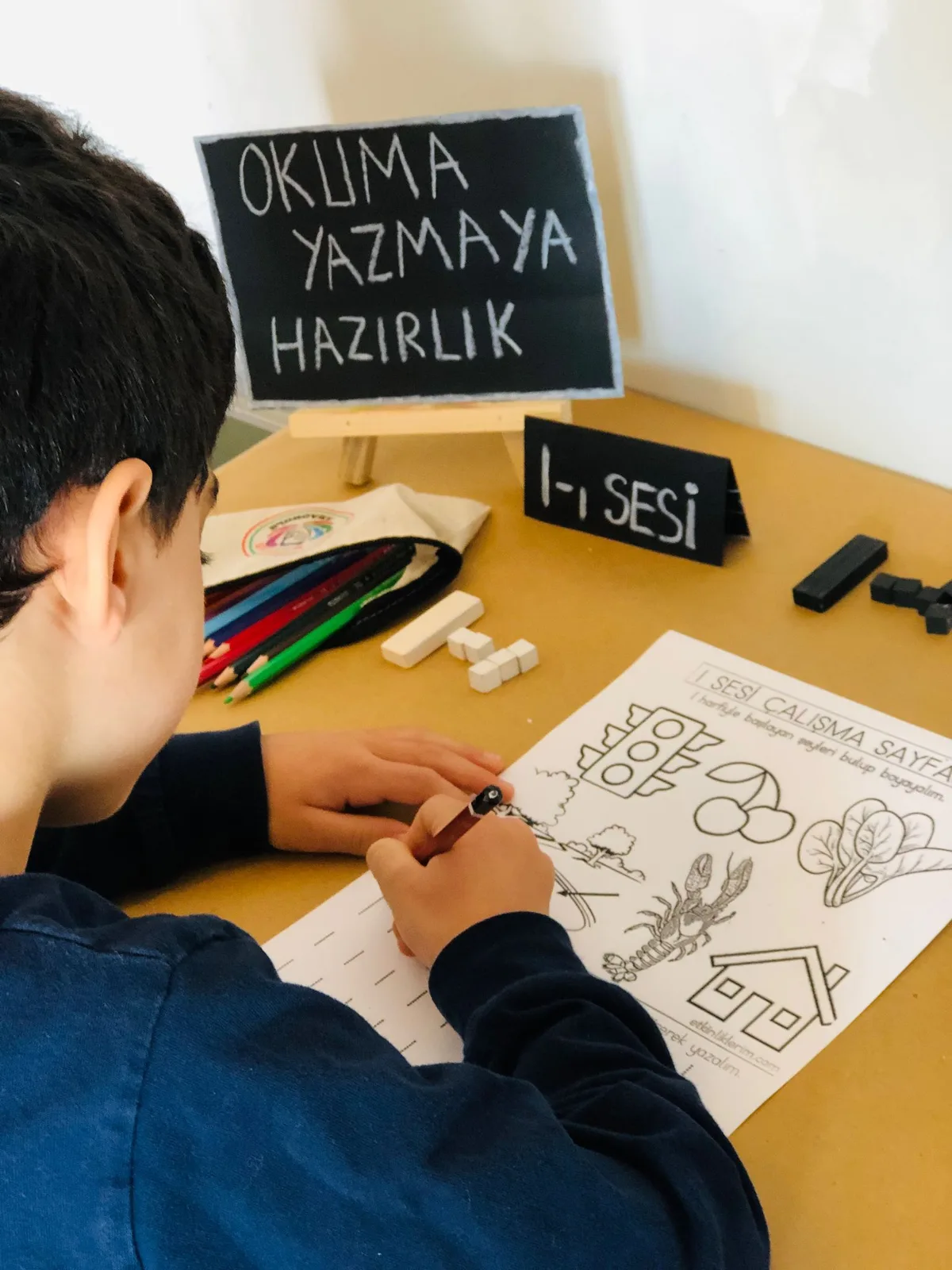 Eğitim