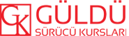 Özel Güldü Kardeşler Motorlu Taşıt Sürücüleri Kursu logosu