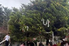 Sosyal yaşam