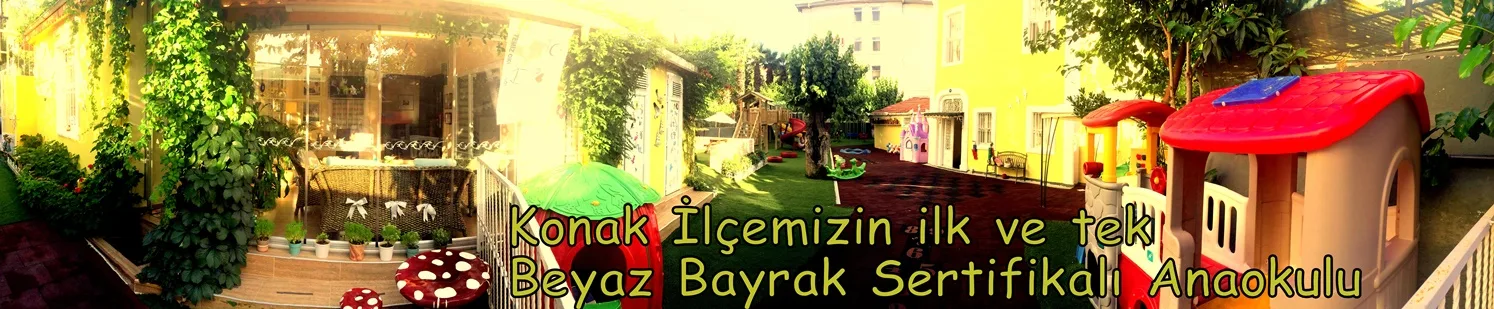 Sosyal yaşam