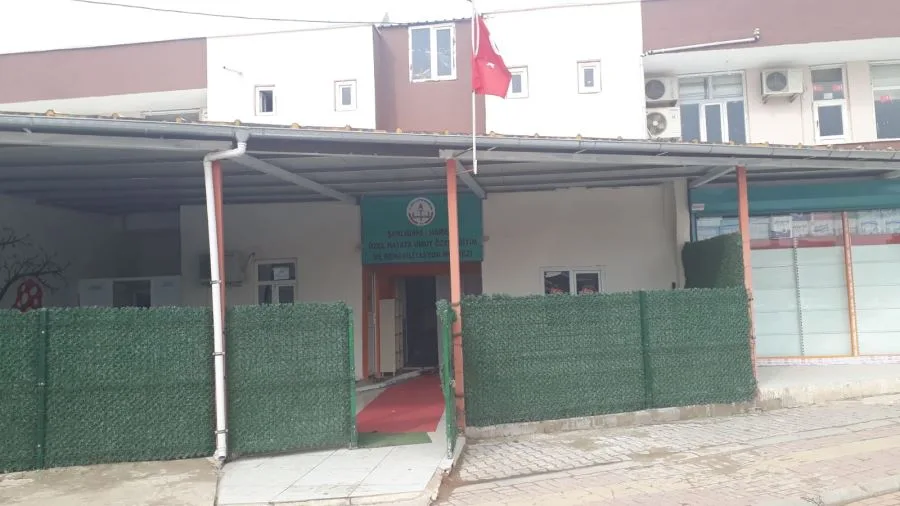 Sosyal yaşam