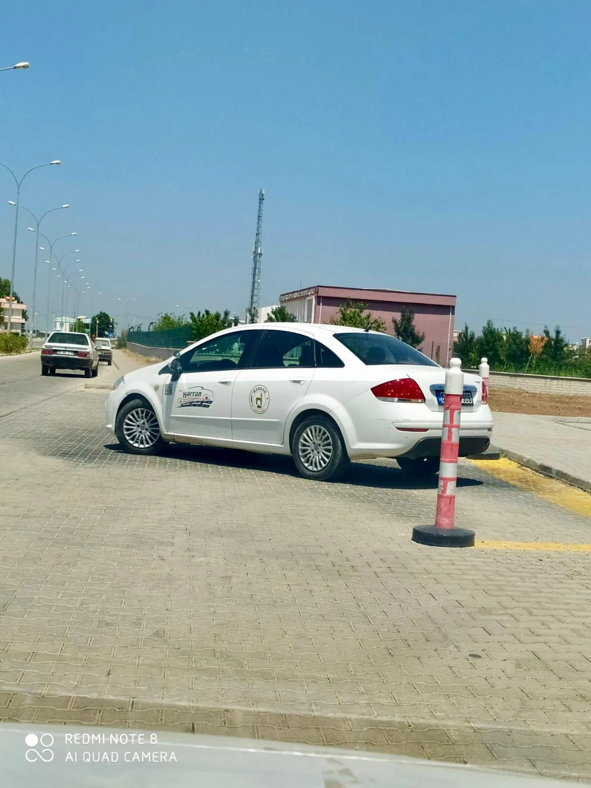 Sosyal yaşam