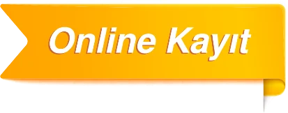 online kayıt