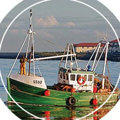 Sosyal yaşam