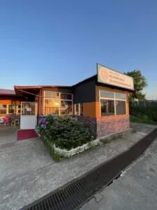 Sosyal yaşam