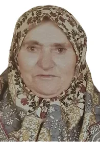 Zülfü-Çelik