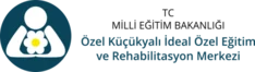 Küçükyalı İdeal Özel Eğitim ve Rehabilitasyon Merkezi