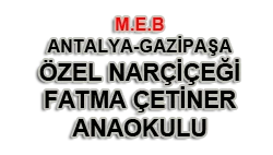 Özel Nar Çiçeği Fatma Çetiner Anaokulu logosu
